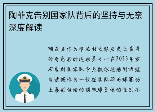 陶菲克告别国家队背后的坚持与无奈深度解读