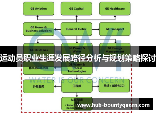 运动员职业生涯发展路径分析与规划策略探讨 运动员职业生涯发展路径分析与规划策略探讨